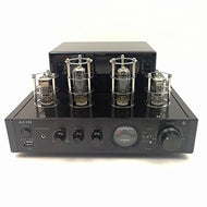 ACIN 25W Class AB Stereo Hybrid Tube Amplifier